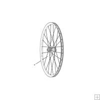 Zipp Spokes & Nipples 248mm CX RAY 3 Pack