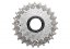Campagnolo Record 11 Speed cassette 12-29
