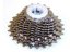 Campagnolo Record 10speed Titanium Cassette (11-23)