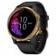 Garmin Venu GPS Smartwatch Black with Gold