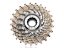 Campagnolo Record 10speed Cassette (12-25)