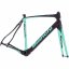 Bianchi Infinito CV Disc Custom Bike