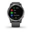 Garmin Vivoactive 4 Shadow Grey with Silver Hardware