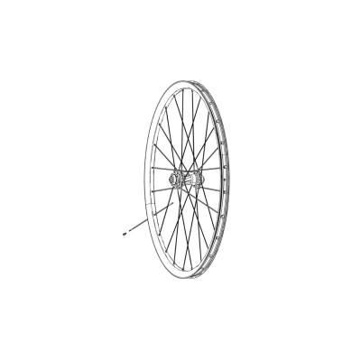 Zipp Spokes & Nipples 248mm CX RAY 3 Pack