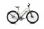 Raleigh One Low Step Electric Bike