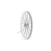 Zipp Spokes & Nipples 248mm CX RAY 3 Pack